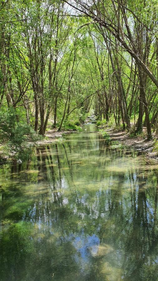 セネス・デ・ラ・ベガLa Colina Ladyblue Apto Acogedor Cerca De Sierra Nevada Y Alhambraアパートメント エクステリア 写真