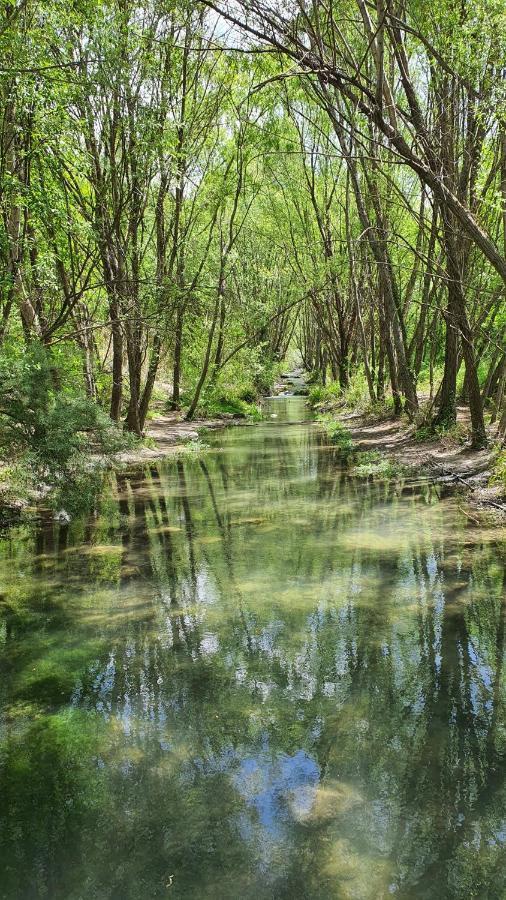 La Colina Ladyblue Apto Acogedor Cerca De Sierra Nevada Y Alhambra セネス・デ・ラ・ベガ エクステリア 写真
