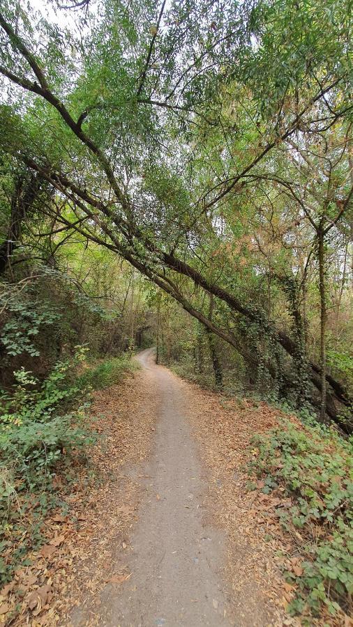 La Colina Ladyblue Apto Acogedor Cerca De Sierra Nevada Y Alhambra セネス・デ・ラ・ベガ エクステリア 写真