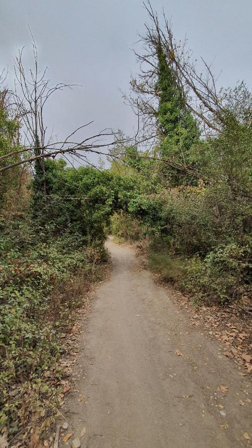 La Colina Ladyblue Apto Acogedor Cerca De Sierra Nevada Y Alhambra セネス・デ・ラ・ベガ エクステリア 写真