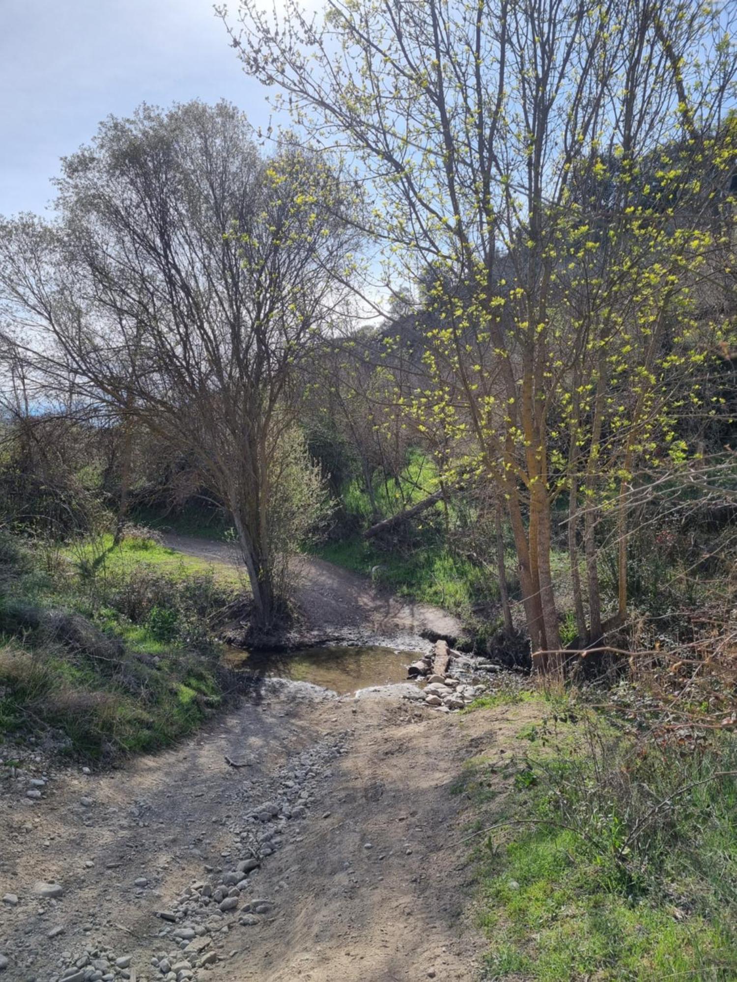 La Colina Ladyblue Apto Acogedor Cerca De Sierra Nevada Y Alhambra セネス・デ・ラ・ベガ エクステリア 写真