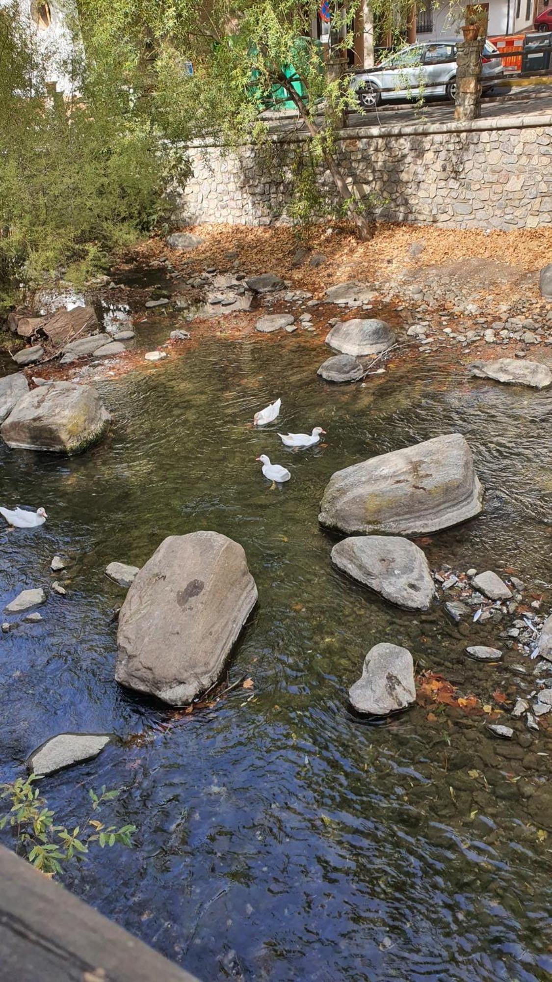 La Colina Ladyblue Apto Acogedor Cerca De Sierra Nevada Y Alhambra セネス・デ・ラ・ベガ エクステリア 写真